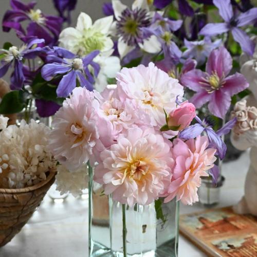 Rose Elizabeth David Austin The Right Roses Review (10)