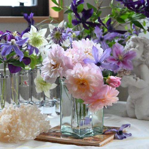 Rose Elizabeth David Austin The Right Roses Review (9)