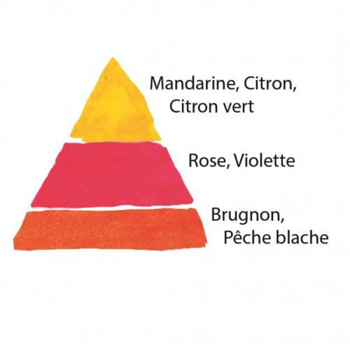 The Right Roses presents you with the best rose review of rose Pompadour | Georges Delbard 2015. Millions of gardeners from all over the world have trusted our in-depth reviews. The Right Roses team uses our own, bespoke The Right Roses Score, which is the most comprehensive rose rating system in the world, to assess the overall quality of a rose. We review all the very best roses from all the best rose breeders such as Rosen Kordes, Rosen Tantau, Delbard, David Austin Roses. The Right Roses is also running the best gardening club for the very best connoisseur gardeners and garden designers at Righttify.com. At Righttify.com, connoisseur sellers can design gardens, provide gardening services, sell new garden plants, resell pre-loved garden plants. In addition, buyers can buy the very best plants in the world.